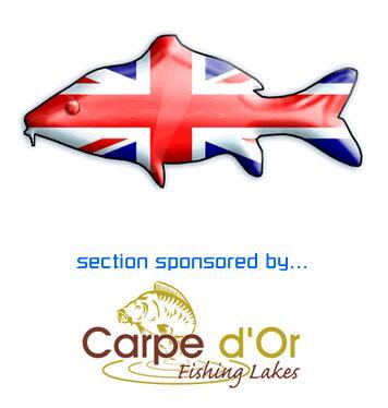 toamna!!! - cfandcarpedor-1.jpg